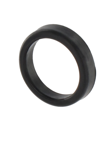 AP000061